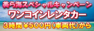 美ら海スペシャルキャンペーン! ワンコインレンタカー!